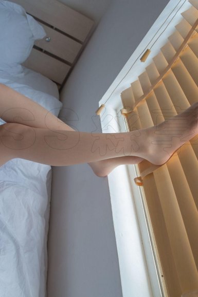 雨燕直播在线观看